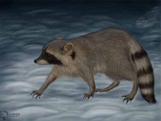 303172 (a): :1200x900